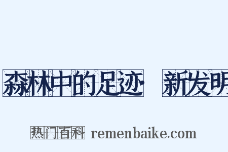 森林中的足迹·新发明是什么意思的图片